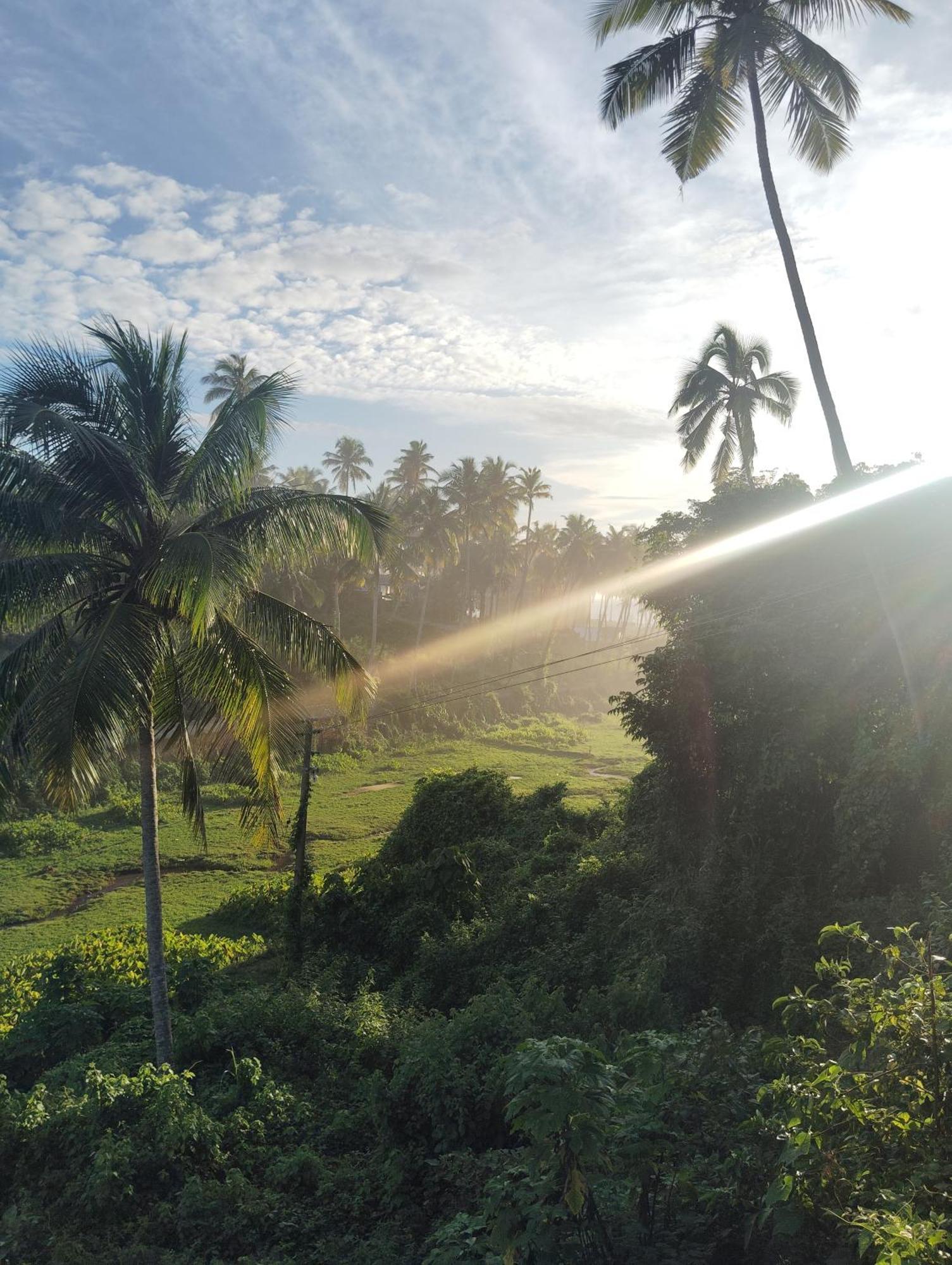 Joseph Dale Homestay Varkala Exterior photo